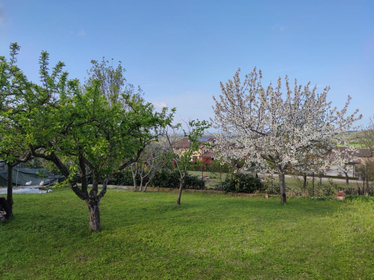 Relax In Collina A Due Passi Dal Mare Apartment Torriana ภายนอก รูปภาพ